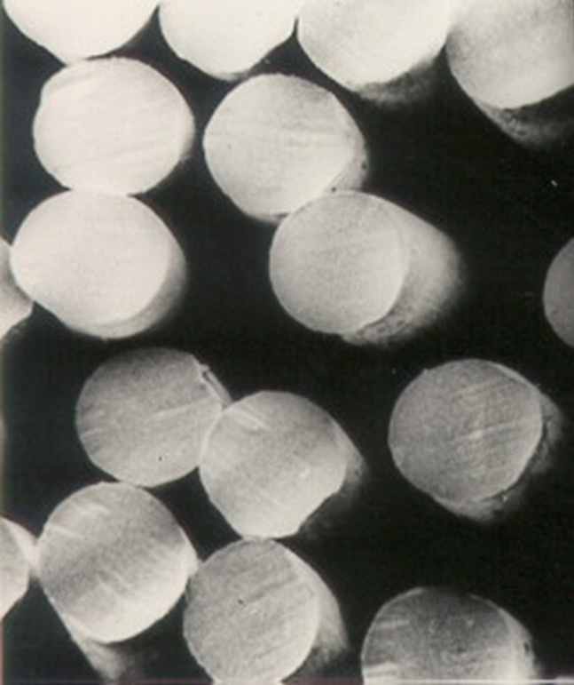 Fibra de poliéster